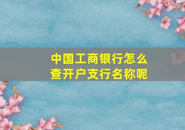 中国工商银行怎么查开户支行名称呢