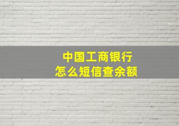 中国工商银行怎么短信查余额