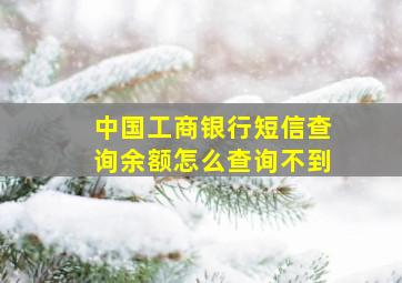 中国工商银行短信查询余额怎么查询不到