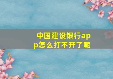 中国建设银行app怎么打不开了呢