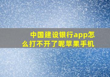 中国建设银行app怎么打不开了呢苹果手机