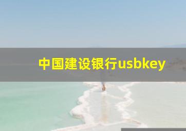 中国建设银行usbkey