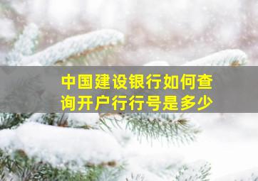 中国建设银行如何查询开户行行号是多少