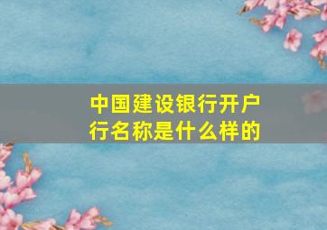 中国建设银行开户行名称是什么样的