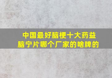 中国最好脑梗十大药益脑宁片哪个厂家的啥牌的