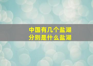 中国有几个盐湖分别是什么盐湖