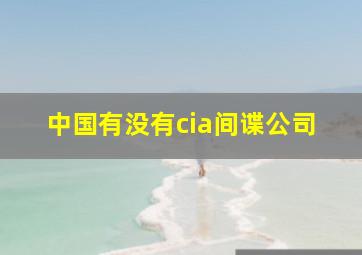 中国有没有cia间谍公司