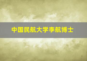 中国民航大学李航博士