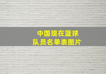 中国现在篮球队员名单表图片