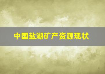 中国盐湖矿产资源现状