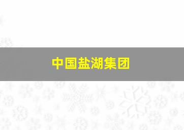 中国盐湖集团