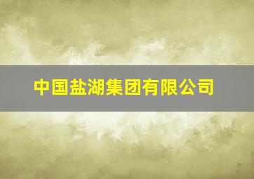 中国盐湖集团有限公司