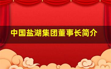 中国盐湖集团董事长简介