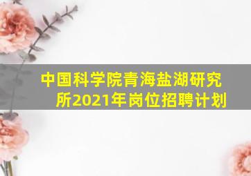 中国科学院青海盐湖研究所2021年岗位招聘计划