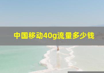 中国移动40g流量多少钱