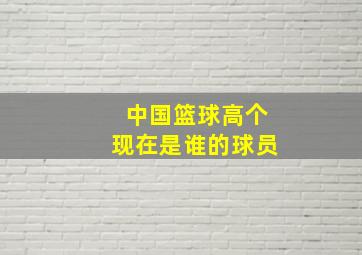 中国篮球高个现在是谁的球员