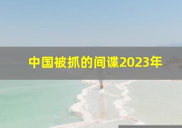 中国被抓的间谍2023年