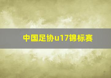 中国足协u17锦标赛