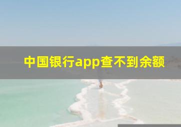 中国银行app查不到余额