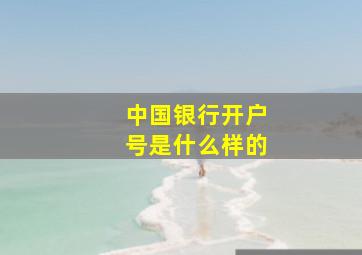 中国银行开户号是什么样的