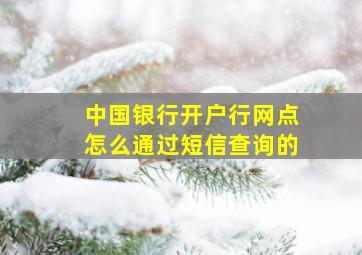 中国银行开户行网点怎么通过短信查询的