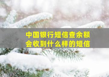 中国银行短信查余额会收到什么样的短信