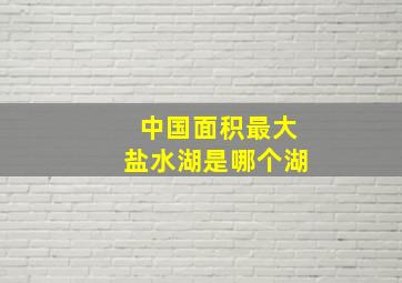 中国面积最大盐水湖是哪个湖