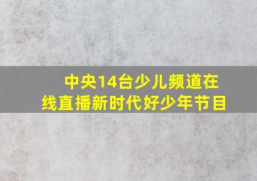 中央14台少儿频道在线直播新时代好少年节目