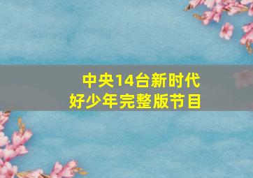 中央14台新时代好少年完整版节目