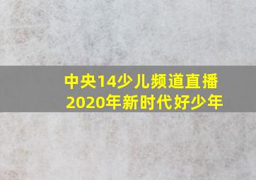 中央14少儿频道直播2020年新时代好少年