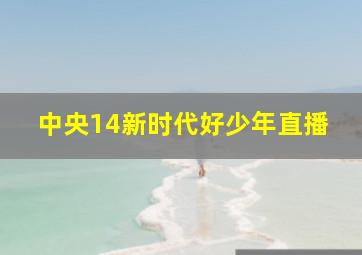 中央14新时代好少年直播