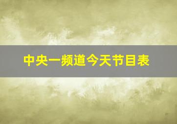 中央一频道今天节目表