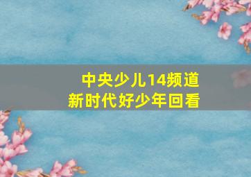 中央少儿14频道新时代好少年回看