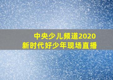 中央少儿频道2020新时代好少年现场直播