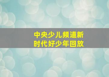 中央少儿频道新时代好少年回放