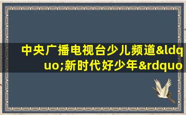 中央广播电视台少儿频道“新时代好少年”