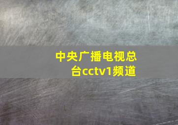 中央广播电视总台cctv1频道