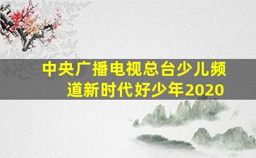 中央广播电视总台少儿频道新时代好少年2020