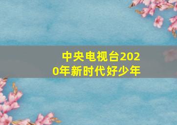 中央电视台2020年新时代好少年