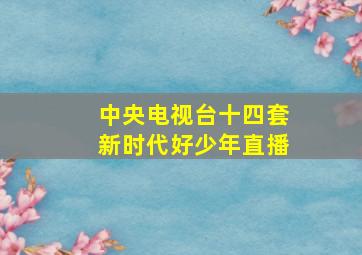 中央电视台十四套新时代好少年直播