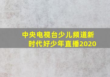 中央电视台少儿频道新时代好少年直播2020