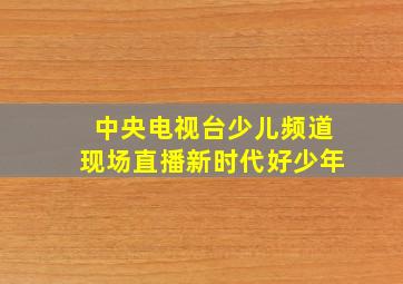 中央电视台少儿频道现场直播新时代好少年