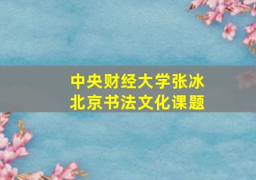 中央财经大学张冰北京书法文化课题