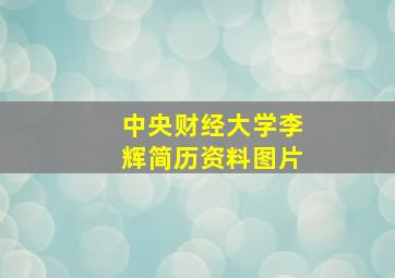 中央财经大学李辉简历资料图片