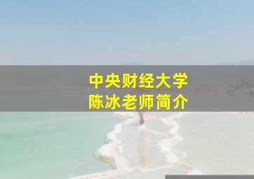 中央财经大学陈冰老师简介