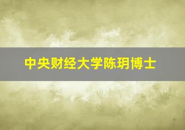 中央财经大学陈玥博士