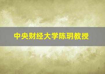 中央财经大学陈玥教授