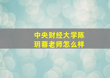 中央财经大学陈玥蓉老师怎么样