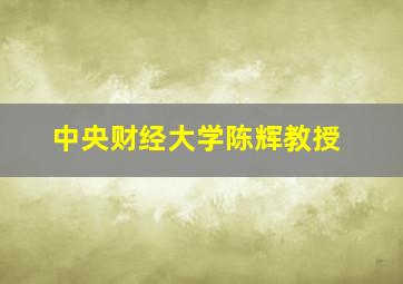 中央财经大学陈辉教授