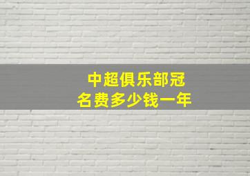 中超俱乐部冠名费多少钱一年